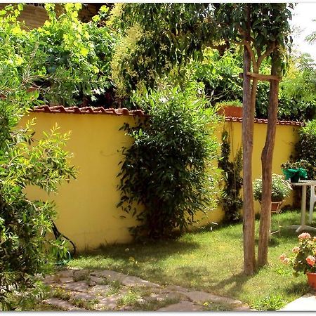 B&B Degli Amici Ciampino Extérieur photo
